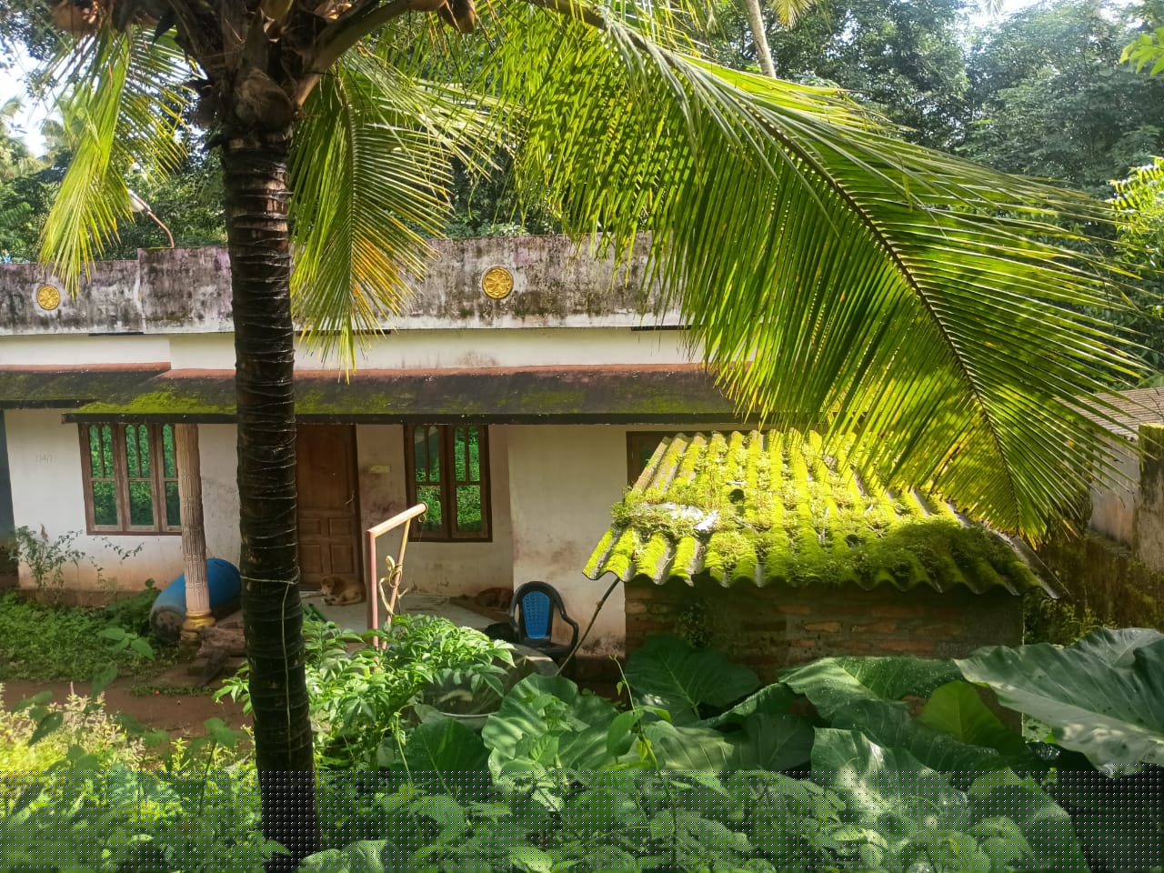 Punjab National Bank Auctions for Residential property in Kollam, Kerala image 5 of 6 in AYOOR, Kollam | Punjab National Bank auction property