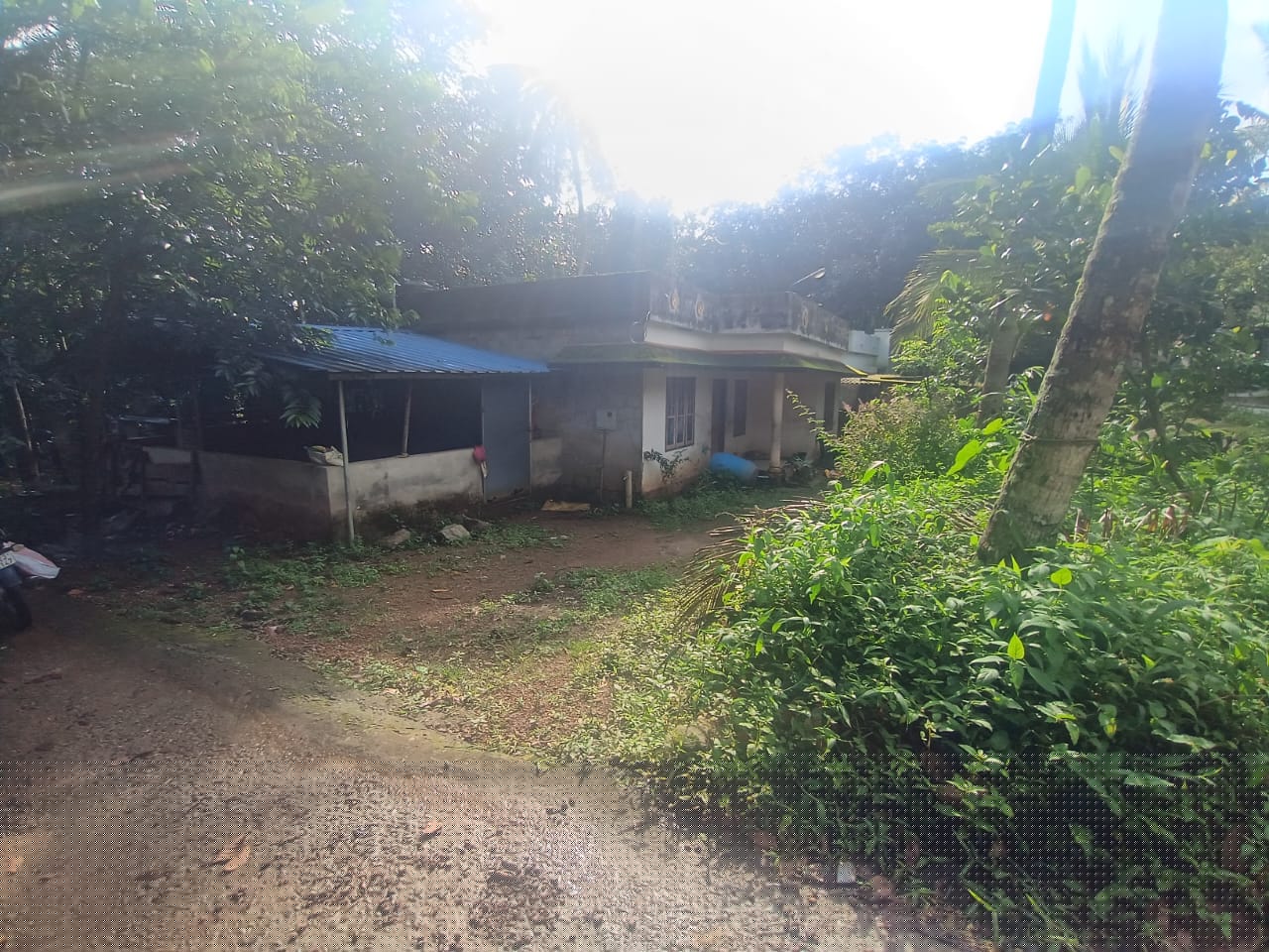 Punjab National Bank Auctions for Residential property in Kollam, Kerala image 3 of 5 in AYOOR, Kollam | Punjab National Bank auction property