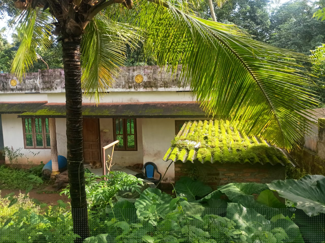 Punjab National Bank Auctions for Residential property in Kollam, Kerala image 4 of 5 in AYOOR, Kollam | Punjab National Bank auction property