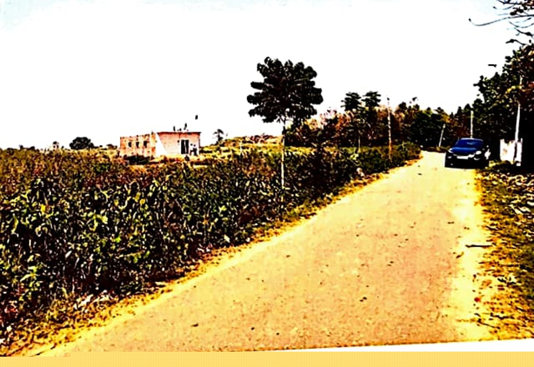Canara Bank Auctions for Residential property in Hazaribagh, Jharkhand image 6 of 7 in Meru, Hazaribagh | Canara Bank auction property