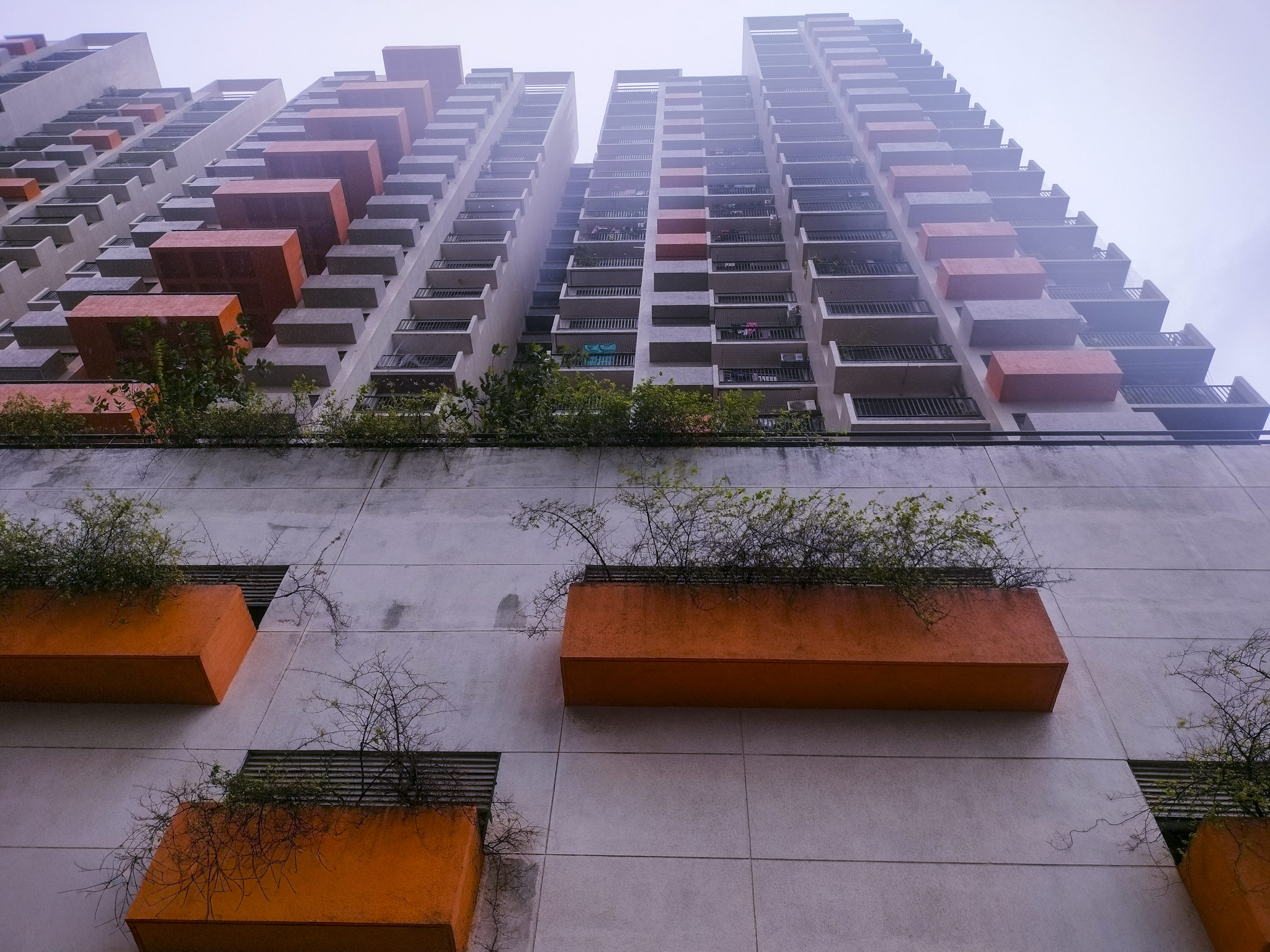 Bank of Baroda Auctions for Residential property in Palghar, Maharashtra image 2 of 24 in Vasai Virar, Palghar | Bank of Baroda auction property