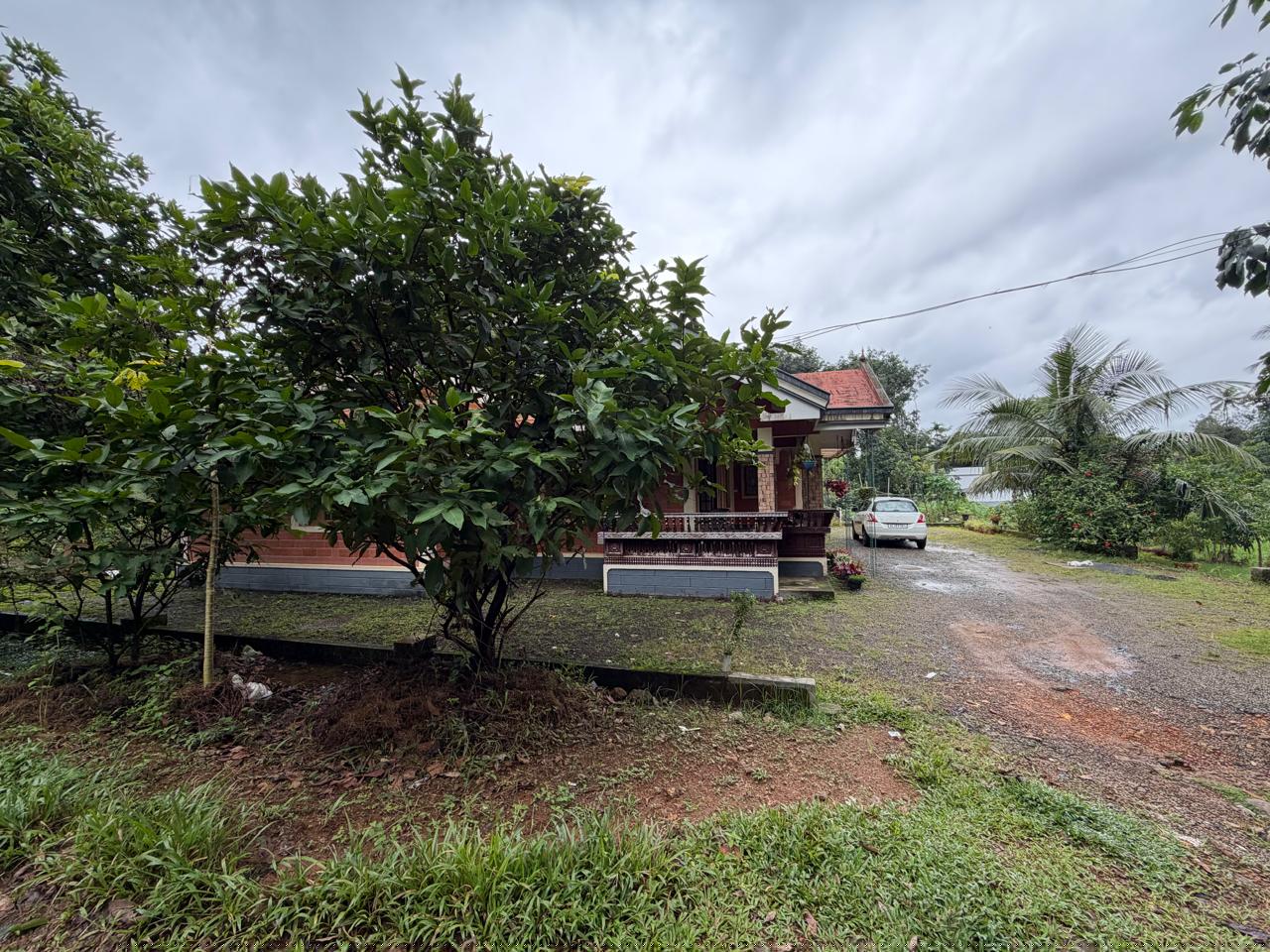 Punjab National Bank Auctions for Residential property in Kottayam, Kerala image 4 of 5 in Changanacherry, Kottayam | Punjab National Bank auction property