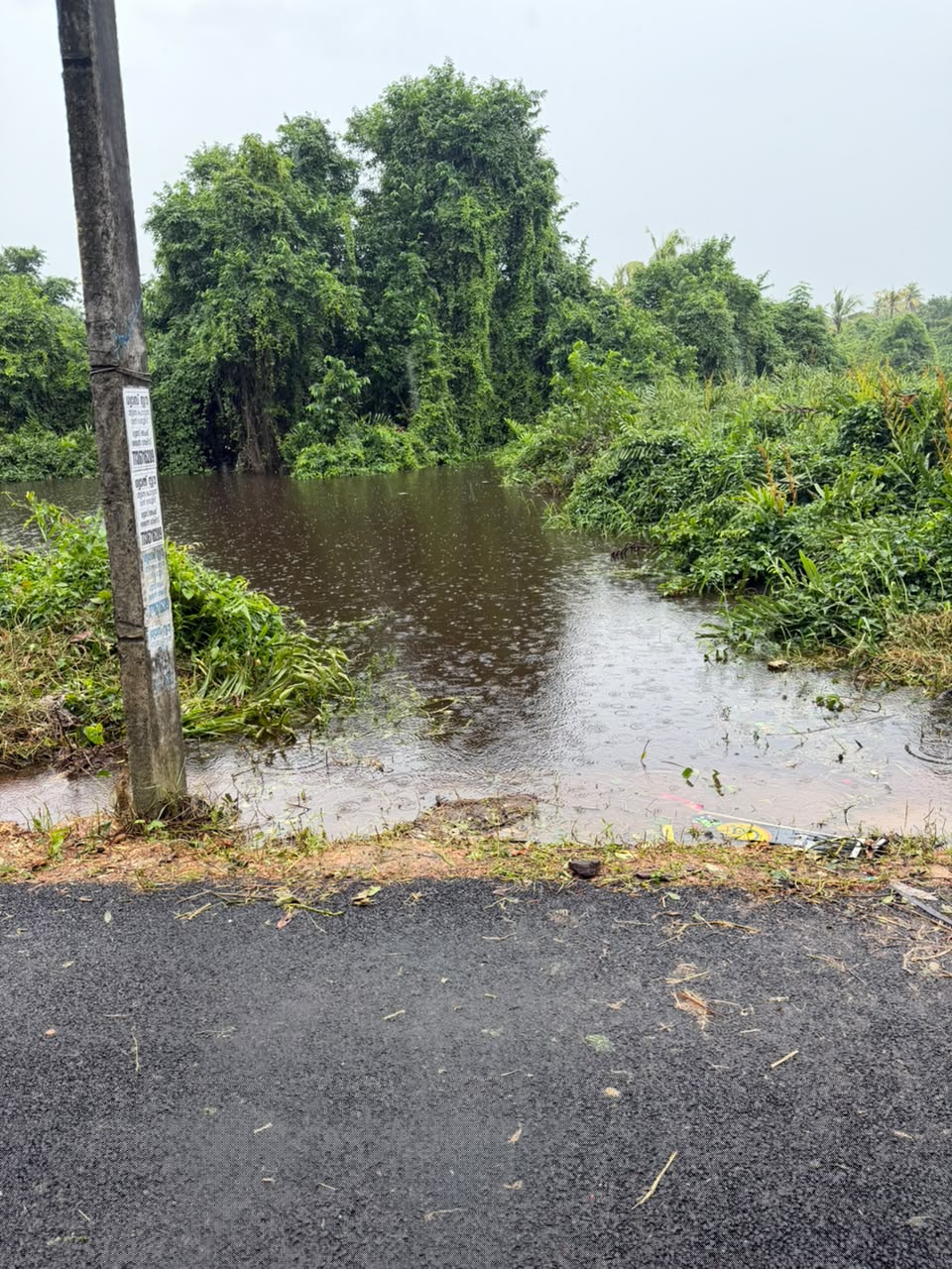 Punjab National Bank Auctions for Residential property in Alappuzha, Kerala image 2 of 4 in Pallippuram Alappuzha, Alappuzha | Punjab National Bank auction property