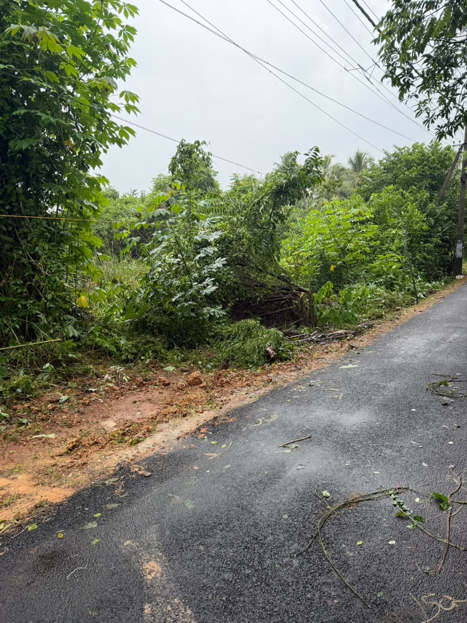 Punjab National Bank Auctions for Residential property in Alappuzha, Kerala image 3 of 4 in Pallippuram Alappuzha, Alappuzha | Punjab National Bank auction property
