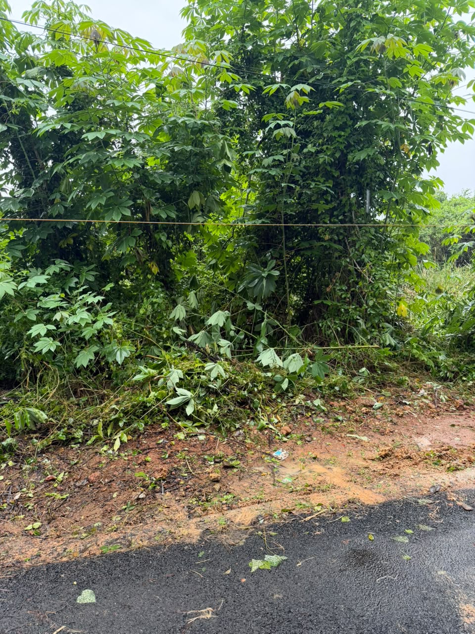 Punjab National Bank Auctions for Residential property in Alappuzha, Kerala image 4 of 4 in Pallippuram Alappuzha, Alappuzha | Punjab National Bank auction property