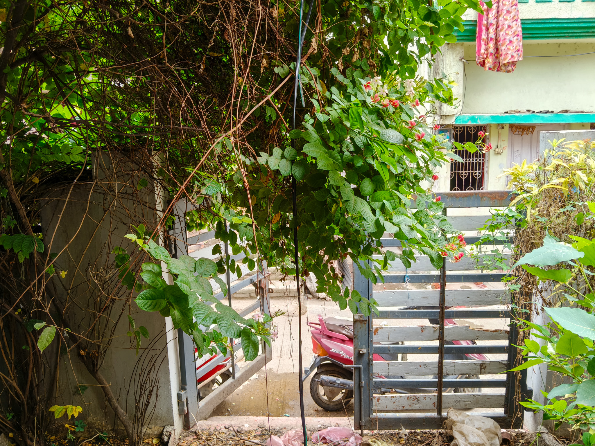 State Bank of India Auctions for Residential property in Wardha, Madhya Pradesh image 4 of 25 in Hinganghat, Wardha | State Bank of India auction property